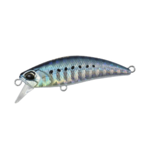 テトラワークス トト 48HS(AHA0011 マイワシ)